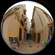 DSCF8958