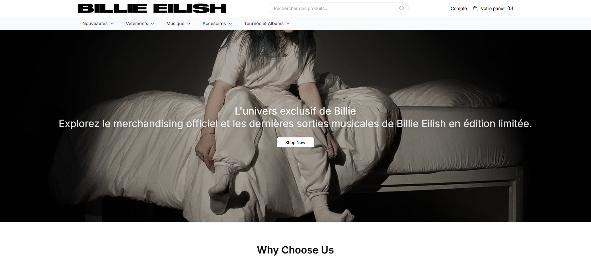 Primary capture · billieeilishstore.shop
