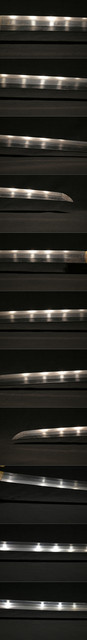 DSC2147.jpg