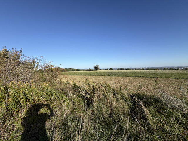 IMG-0371