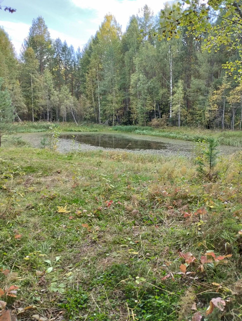 ивдельский тракт2.jpg