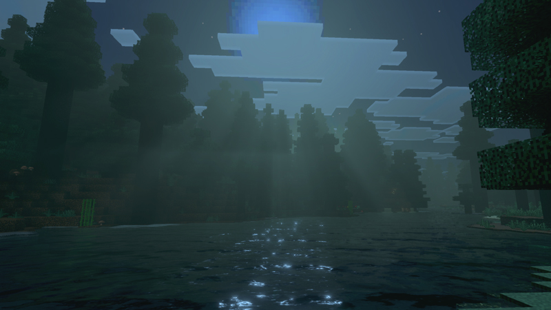 Image 11