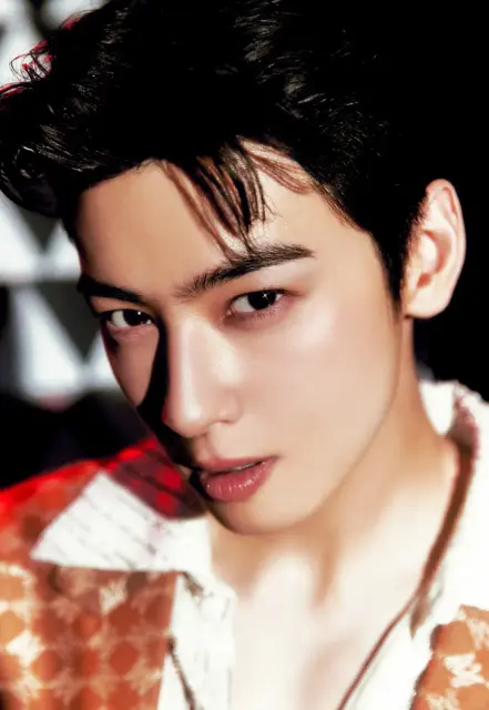 cha eun woo 1395933.webp