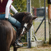 DSC01854