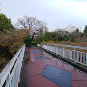 DSC-0048
