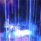 45.gif