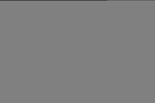 BX6A4031