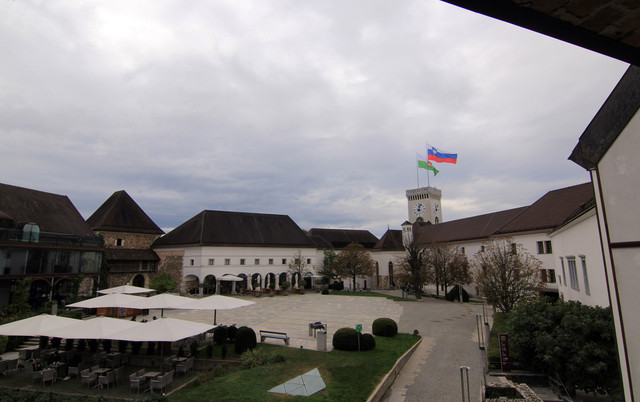 IMG-9956.jpg