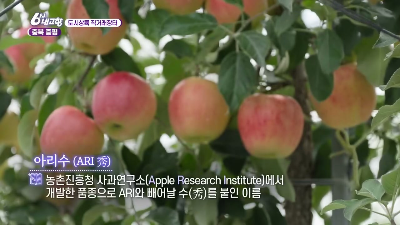6시내고향 도시상륙 직거래장터 증평 아리수 추가 캡처 2