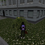 image 75