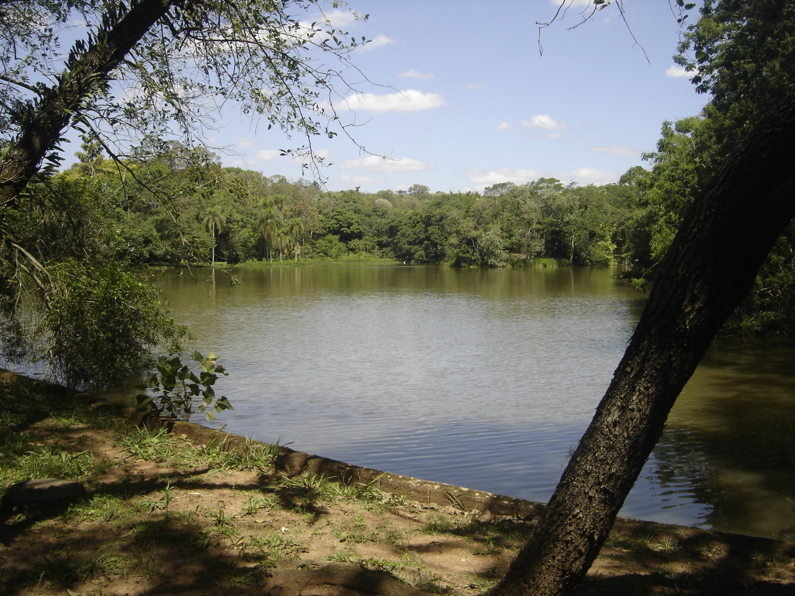 Uni campus lake