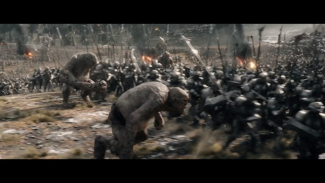botfa-see-11