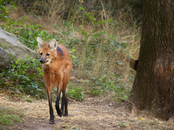 Philadelphia Zoo