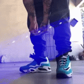IMG 0233.gif
