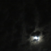 Pmoon-027
