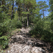 IMG 0406