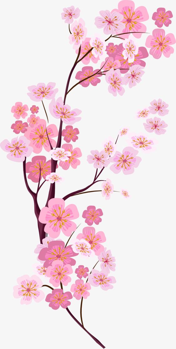 a4c06e6fe6e67a8320bf16db49db1aee.jpg