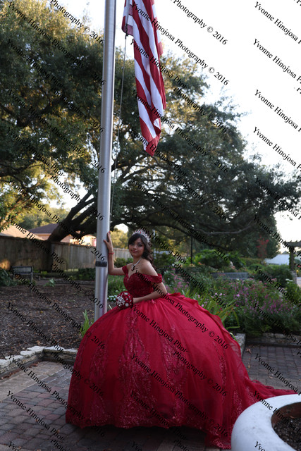 IMG 2553