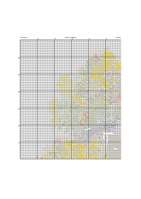 119975-217841194-2