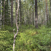 IMG 4805