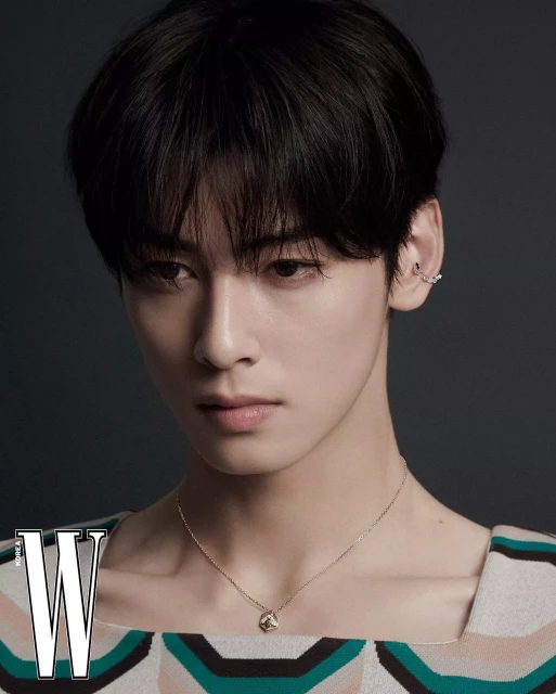 cha eun woo 1249052