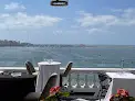 صورة كافيه تريانون