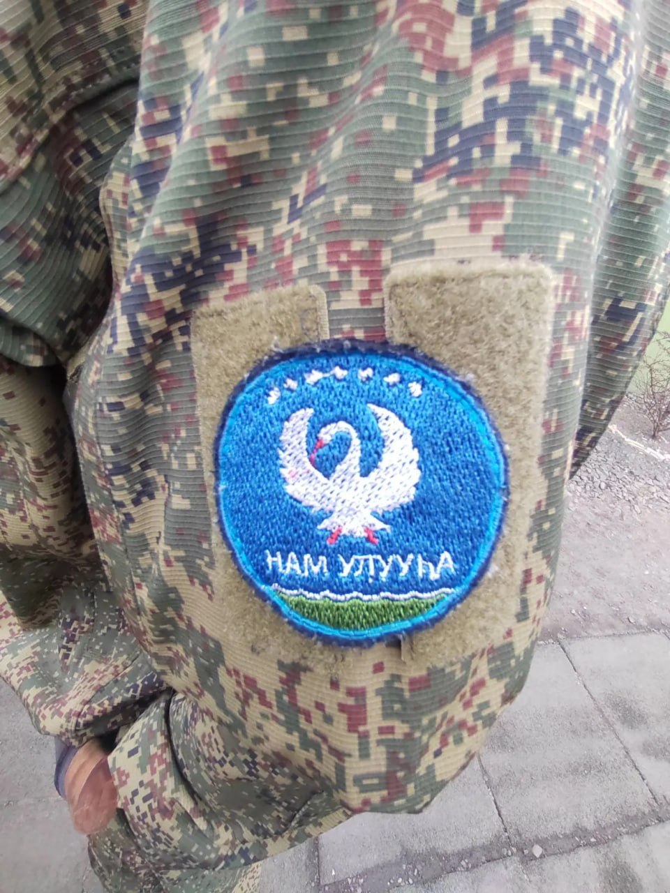 https://i.ibb.co/zW53tbJR/13x.jpg