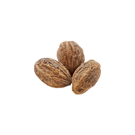 Haritaki herb visual