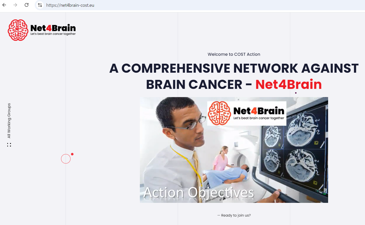 Net4Brain COST Action website