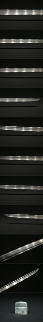 DSC0950.jpg
