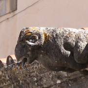 Tomar Gargoyle (2)NB