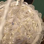 IMG-8617