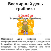 comp-IMG-7683