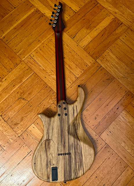 Today's Guitar of the Month - Overload Custom Shop Rea 6! | Guitar