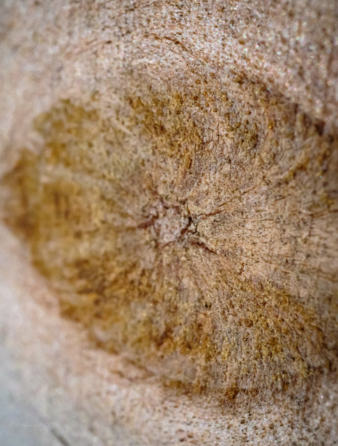 DSF3958.jpg