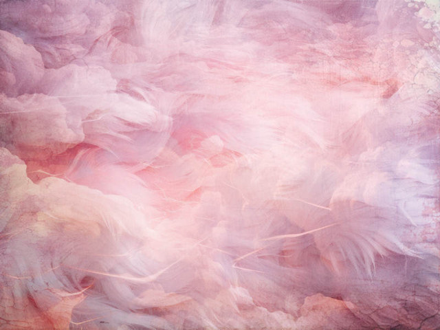 pinkfluffs.jpg