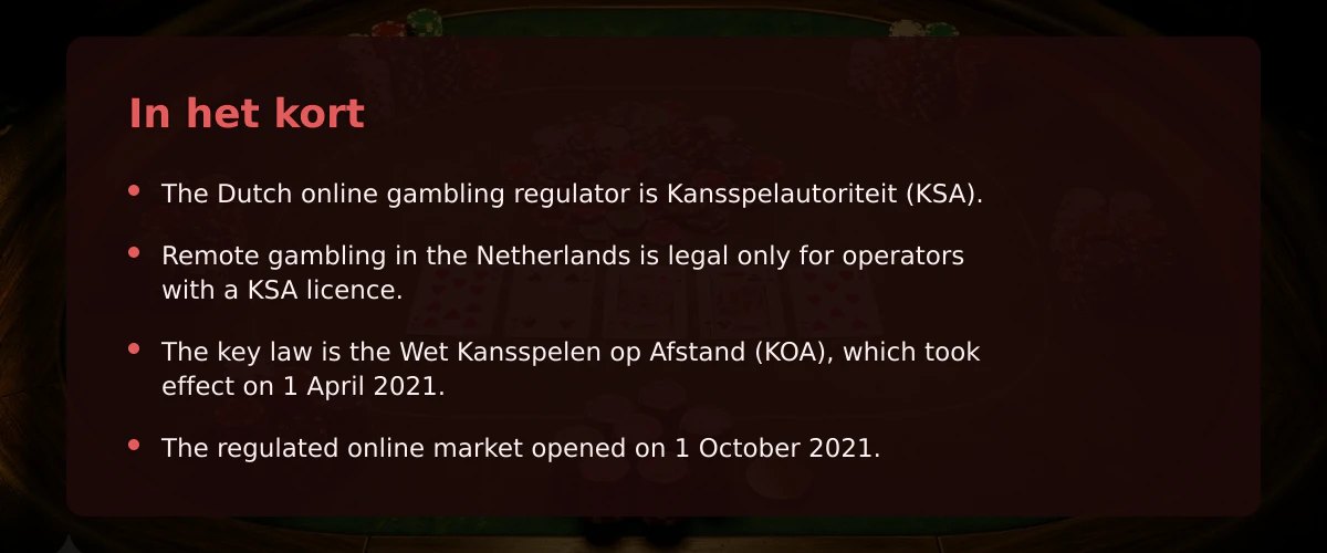 Een 5 euro casino in de Nederlandse markt door de ogen van een speler met grote inzetten — In het kort