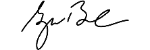 CEO Signature