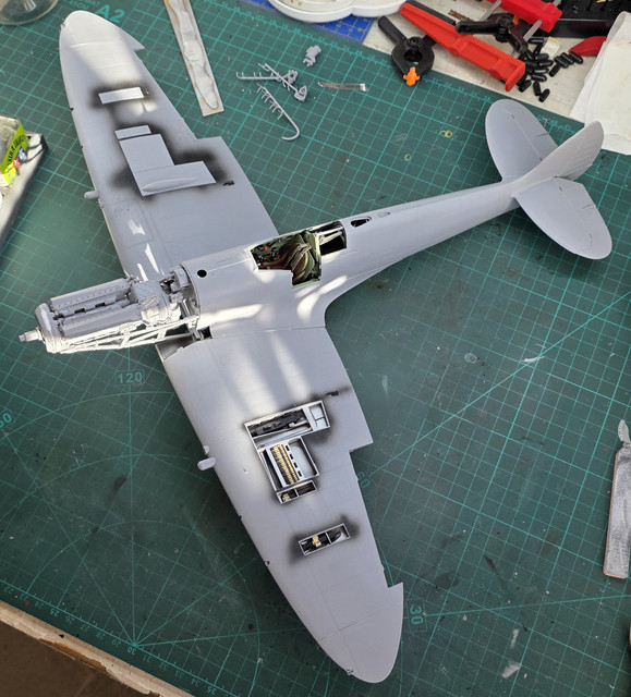 20260424 072002.jpg