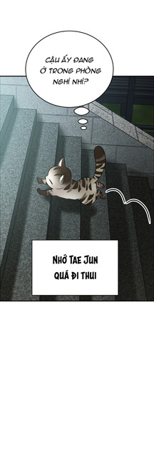 1a-03.jpg
