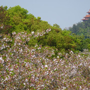 DSC09148