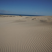 DSC01187