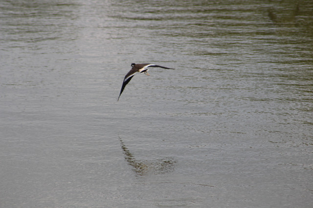 IMG 2724.jpg