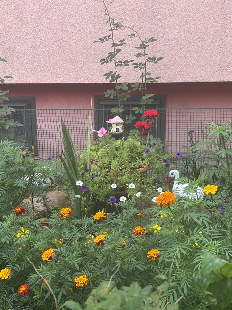 IMG-2937.jpg