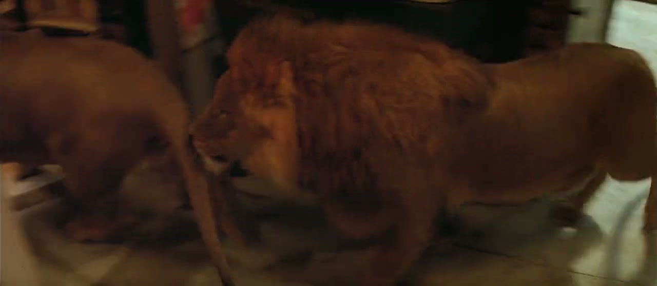 Roar Screenshot