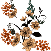 01-1150