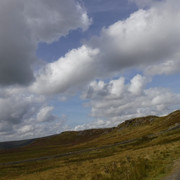 DSCF0206