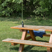IMG-9104