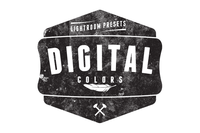 Digital Colors Presets logo