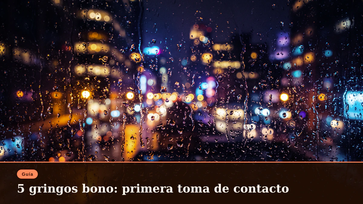 5 gringos bono: primera toma de contacto